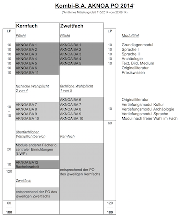BA AKNOA 2014 Studienaufbau_Icon.png