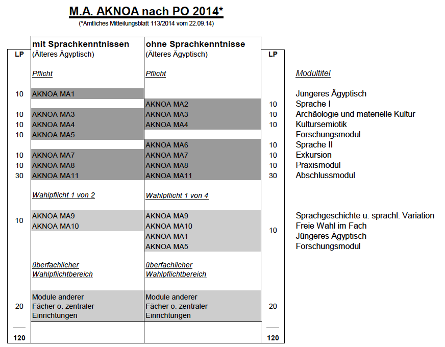 MA AKNOA 2014 Studienaufbau_Icon.png