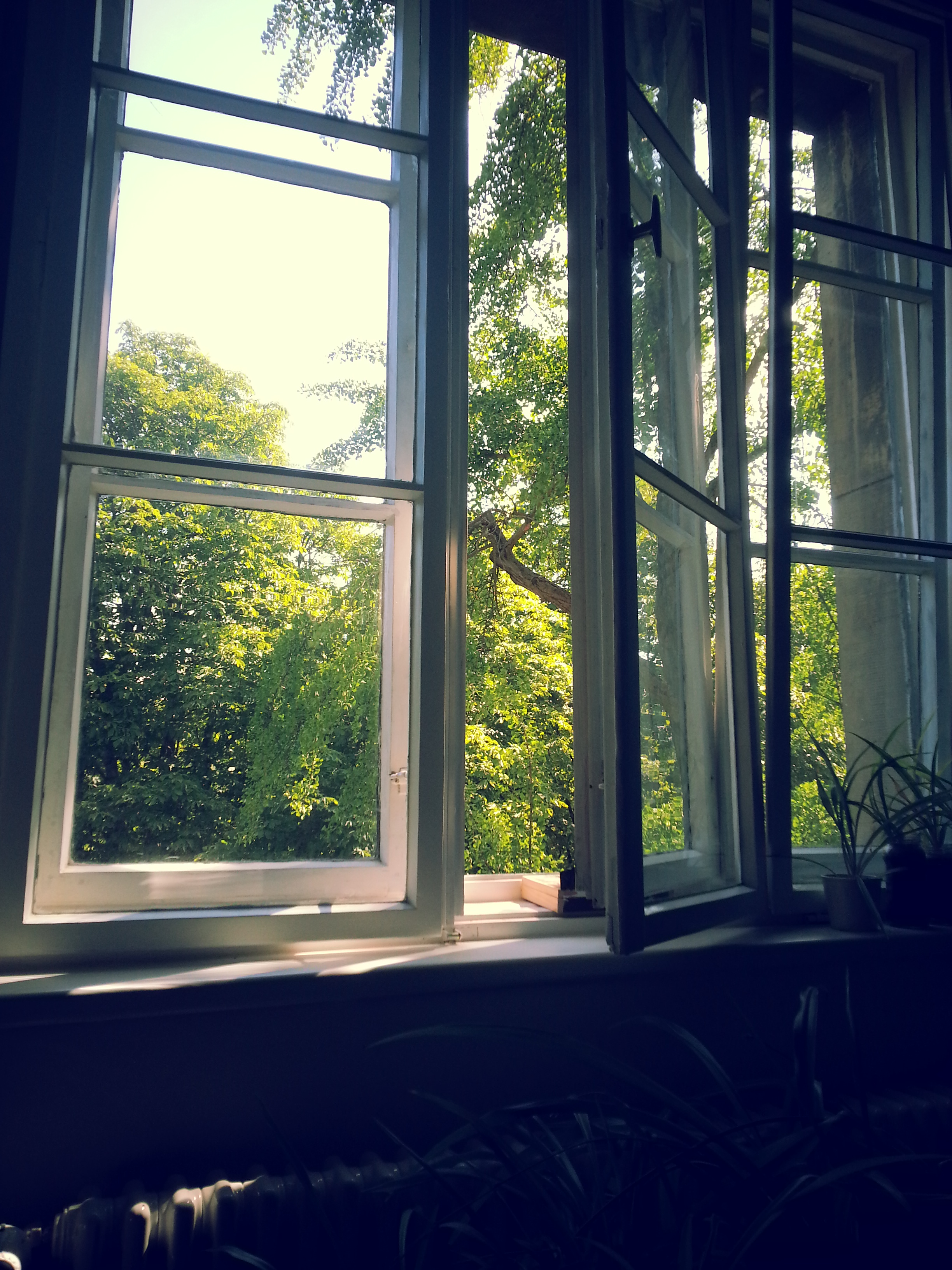 Grünes Fenster (2).jpg