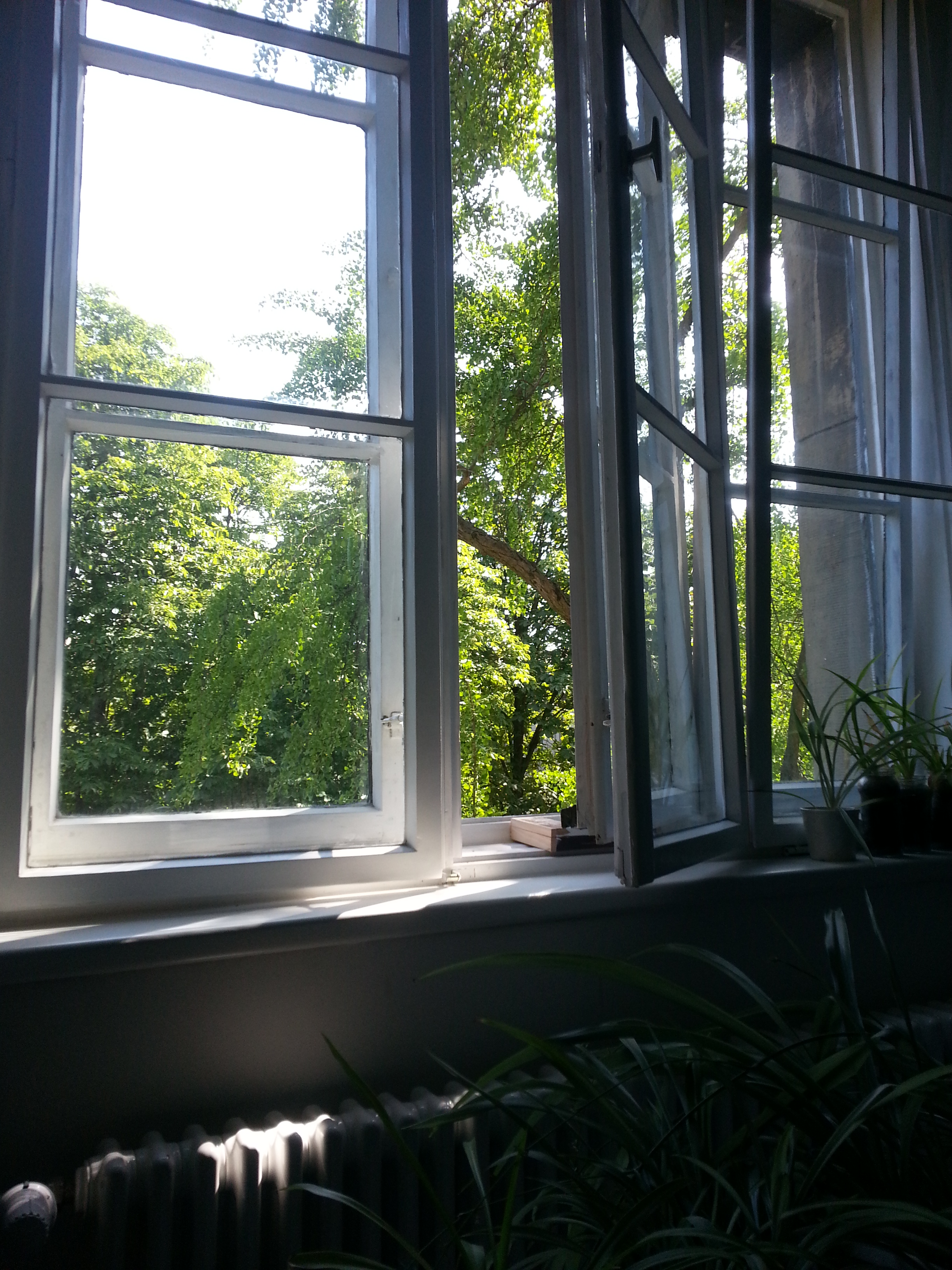 Grünes Fenster.jpg