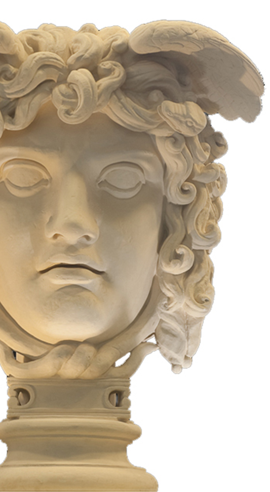 Medusa angeschnitten
