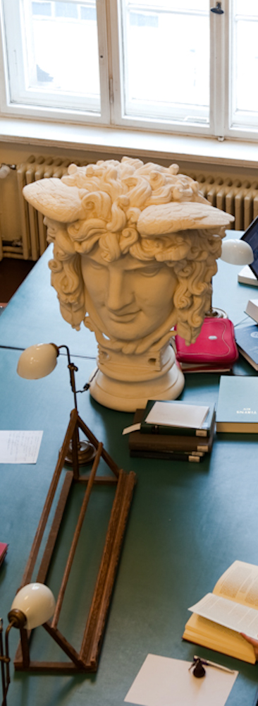 Medusa Draufsicht