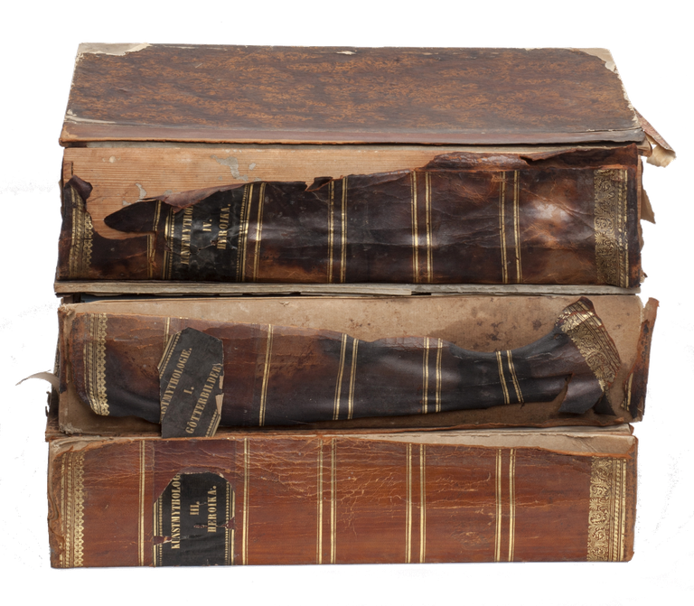 oie_transparent (1).png