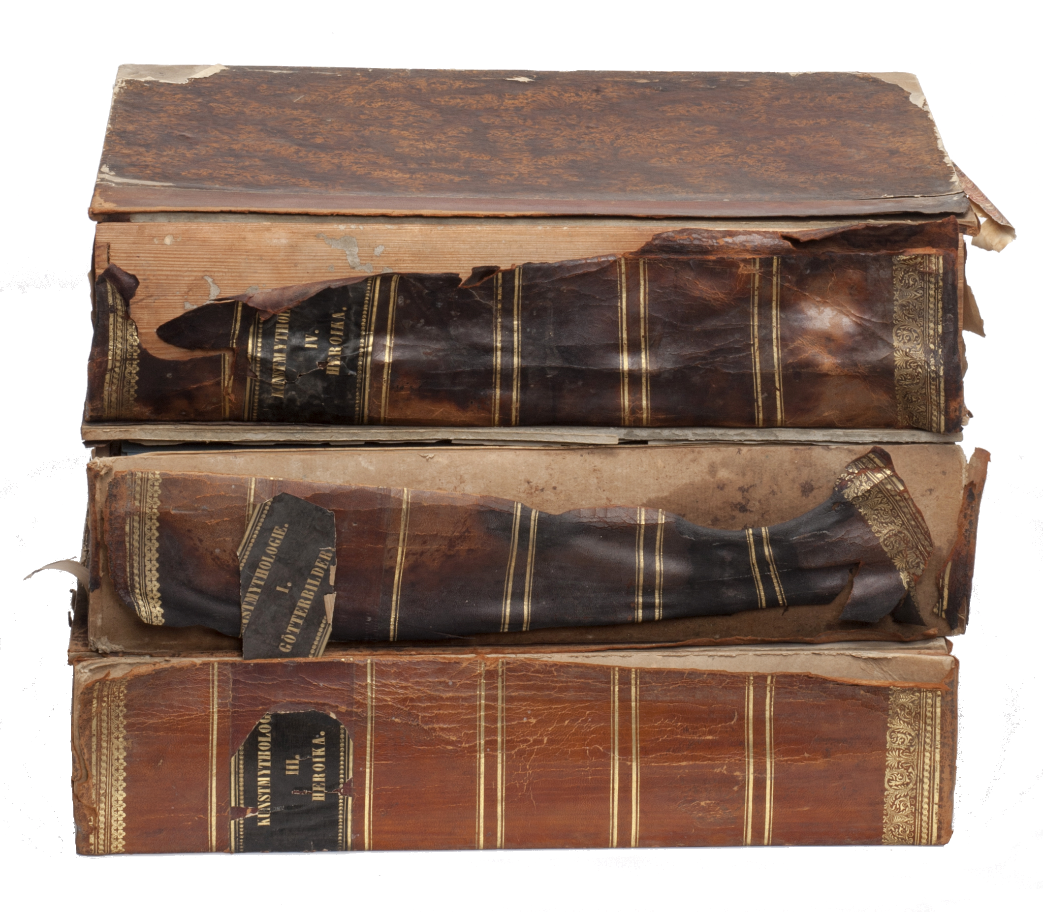 oie_transparent (1).png